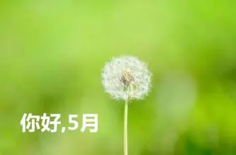 微信图片_20190530163127.png