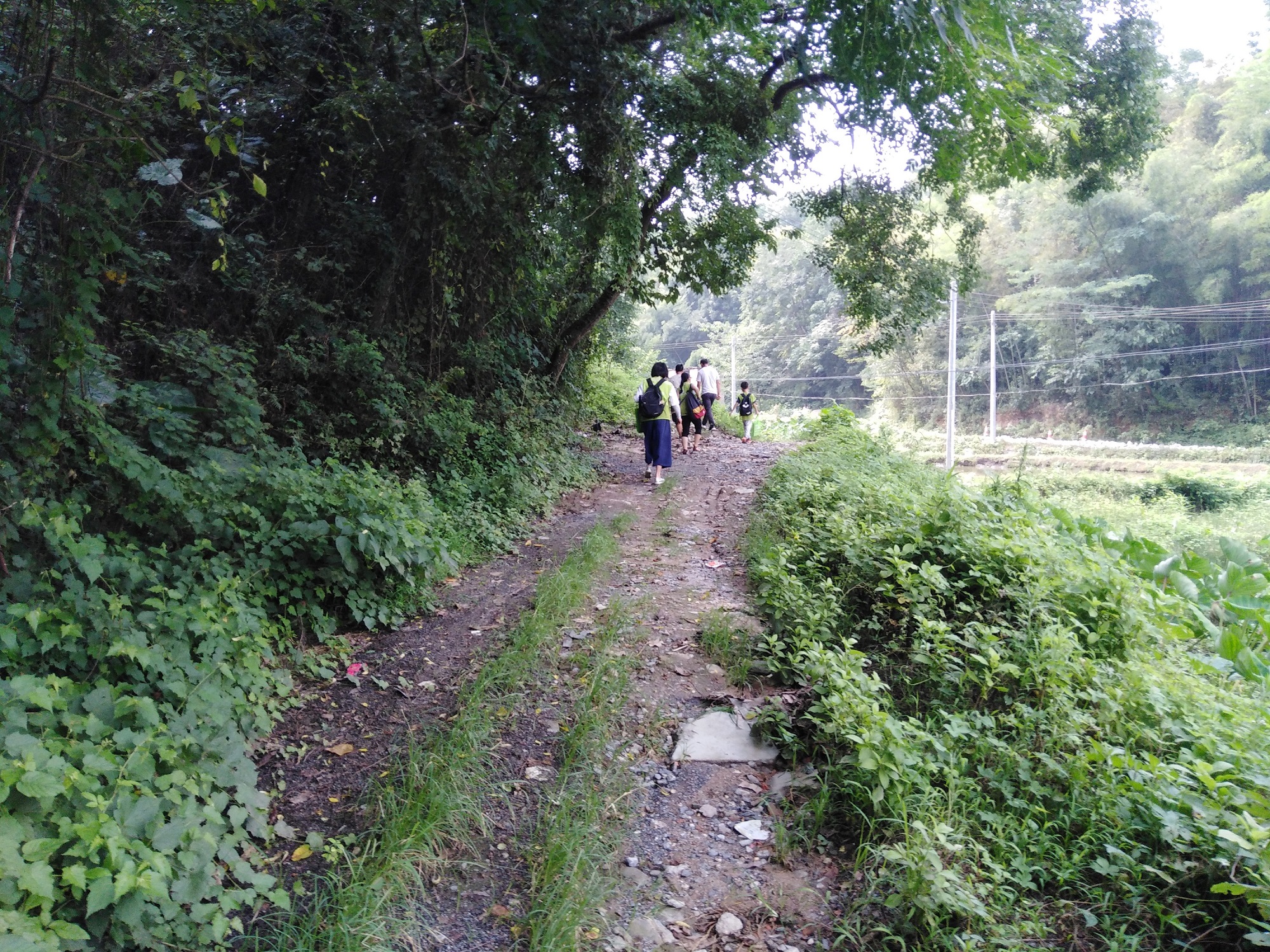 IMG_20190809_102231.jpg