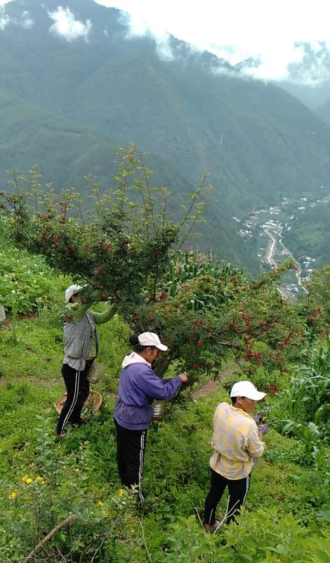 1629101076116702.jpg 微信图片_20210816143403.jpg