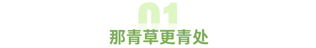 1686725595976132.jpg 1686725595976132.jpg