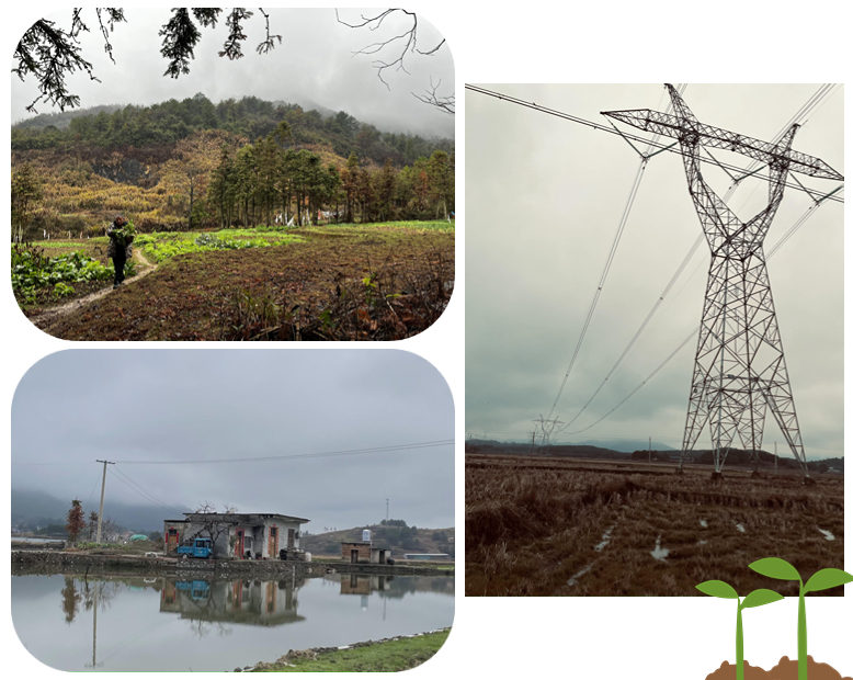 1686725742551796.png 奶茶饮品新品上市简约文章小标题 (12).png